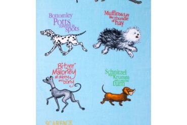 hairy maclary dogs names