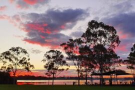 halliday park five dock sydney