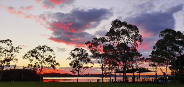 halliday park five dock sydney