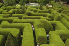 hedge maze melbourne