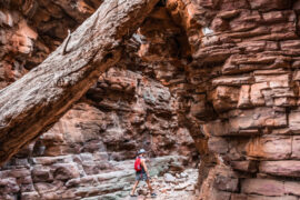 hiking adelaide