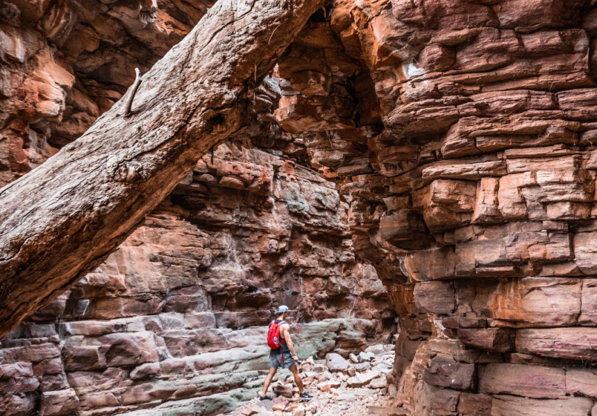 hiking adelaide