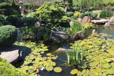 himeji gardens