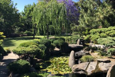 himeji gardens adelaide