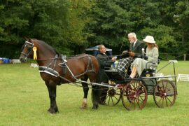 horse and cart