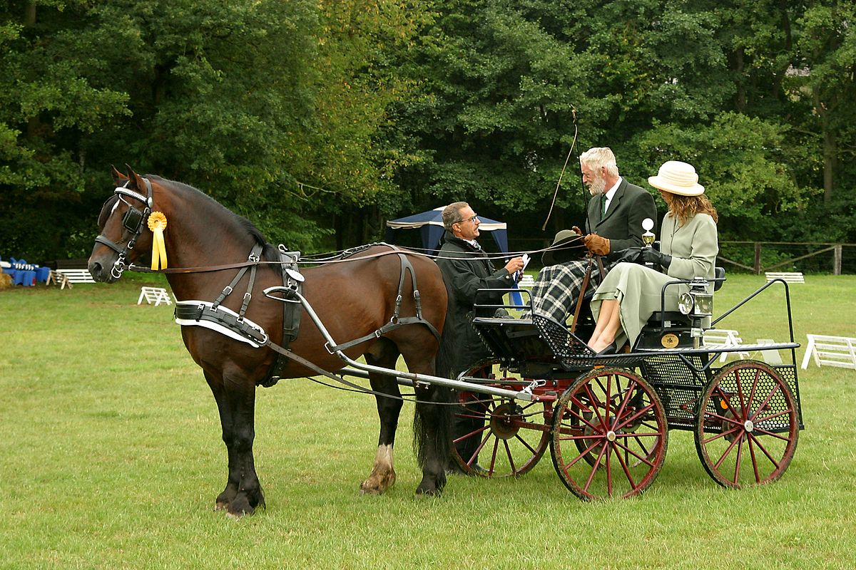 horse and cart