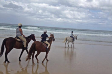 horse riding beach sydney