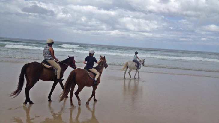 horse riding beach sydney