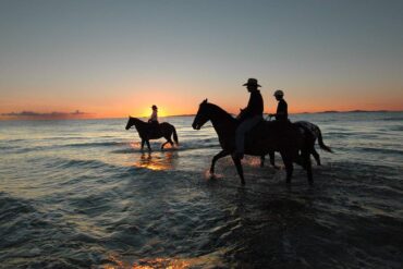 horse riding sydney beach sydney