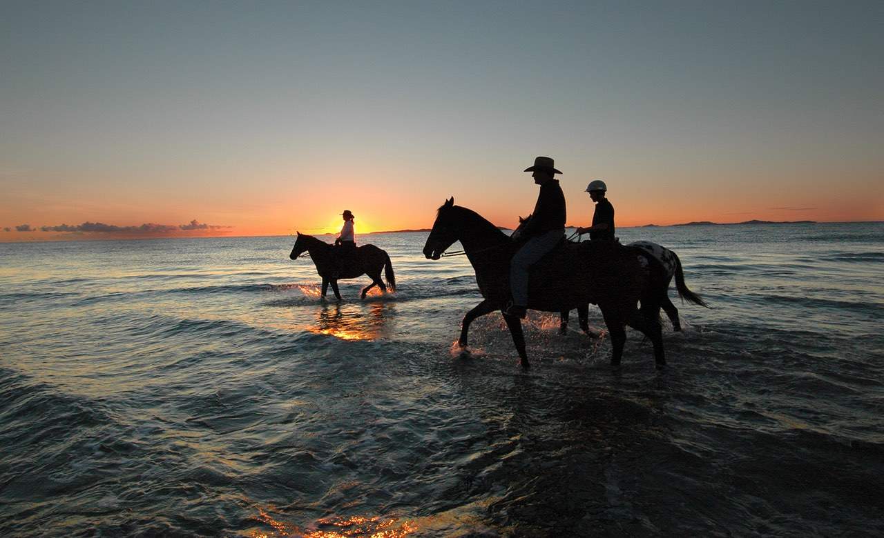 horse riding sydney beach sydney