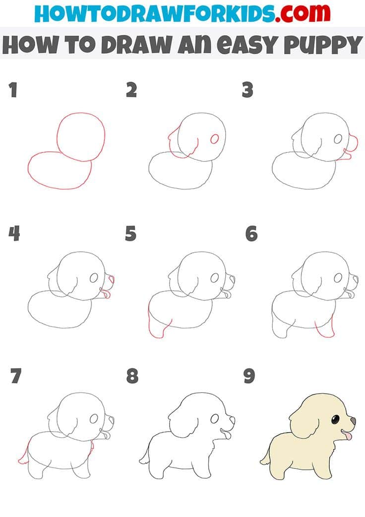 how to draw a simple puppy