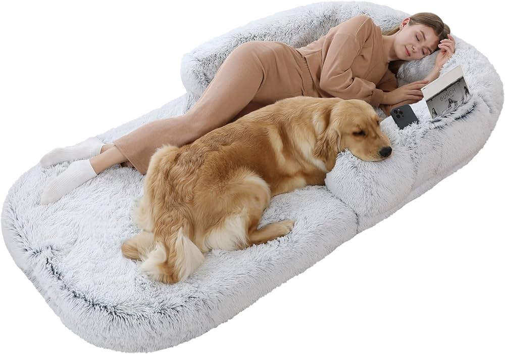 human bed with dog bed