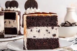 ice cake recipes