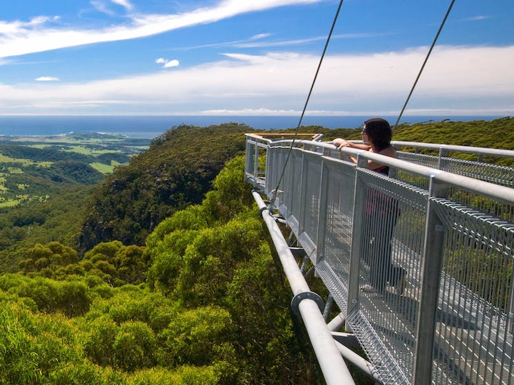 illawarra treetop walk