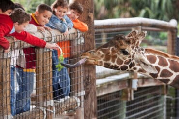 Best Zoos, Animal Farms, and Aquariums in Adelaide