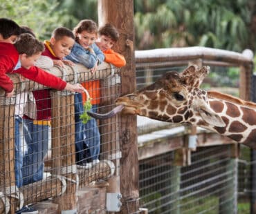 Best Zoos, Animal Farms, and Aquariums in Adelaide