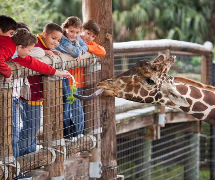 Adelaide Zoo