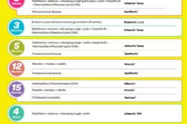 immunisation schedule nz