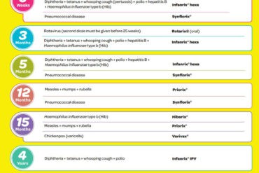 immunisation schedule nz