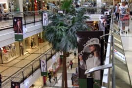 indooroopilly shopping centre stores