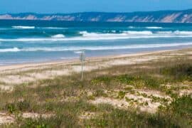 inskip point campground