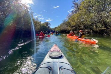 kayaking in adelaide