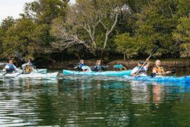 kayaks adelaide