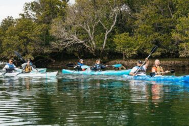 kayaks adelaide