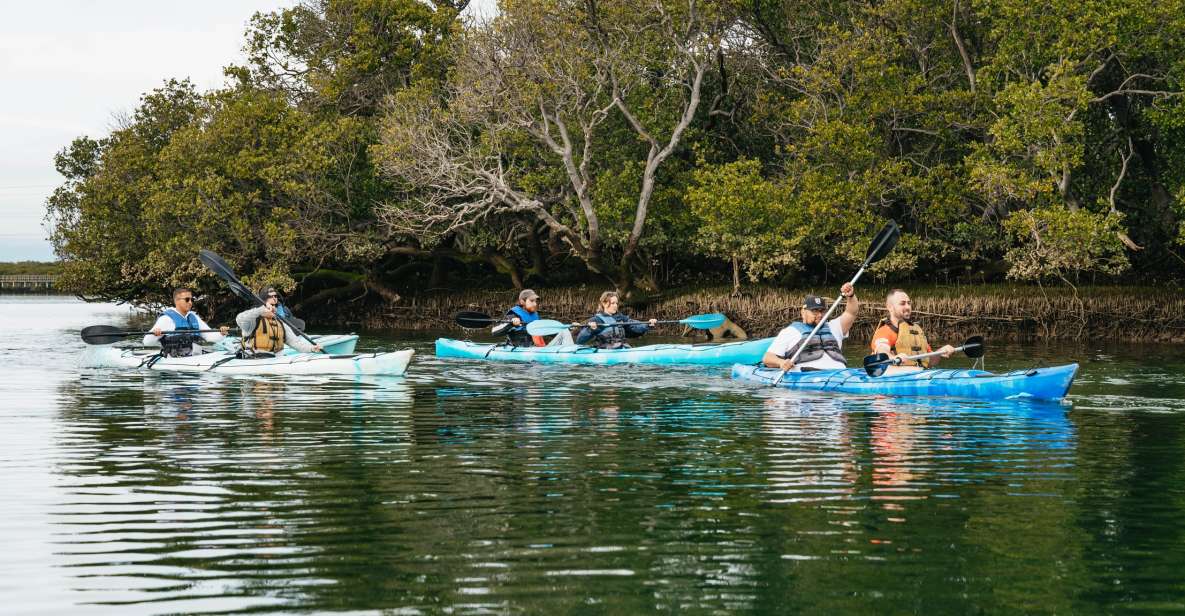 kayaks adelaide