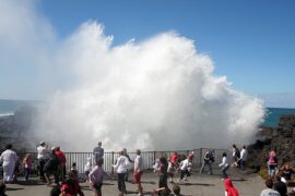 kiama blow holes