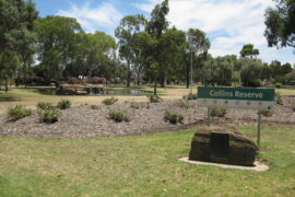 kidman park