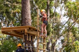 kuitpo forest tree climb