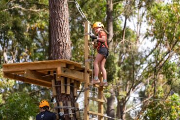 kuitpo forest tree climb