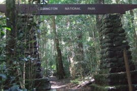 lamington national park