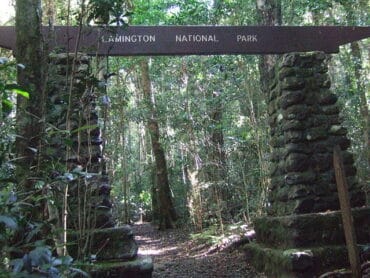 lamington national park