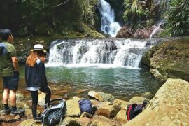 lamington national park gold coast