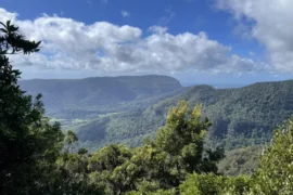 lamington np