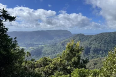 lamington np