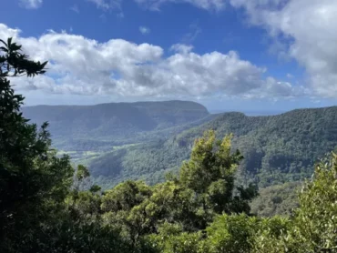 lamington np