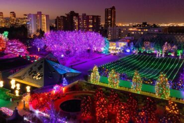 light show botanic gardens