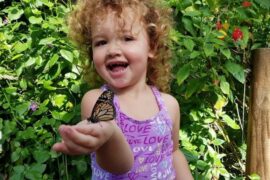 live butterfly farm sydney