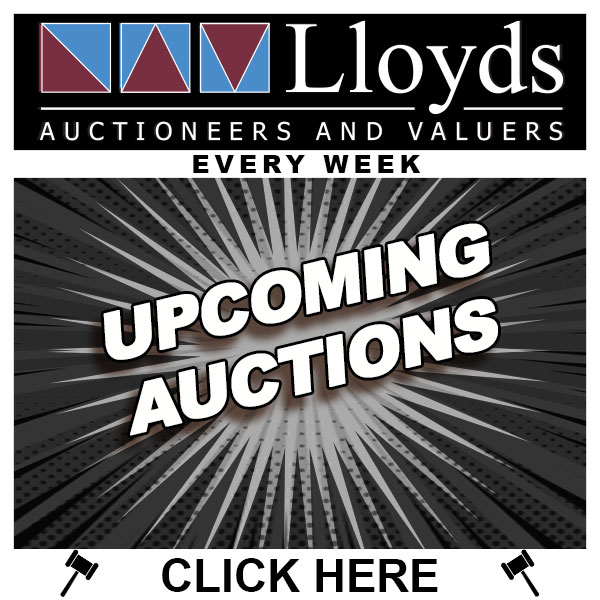 lloyd auctions