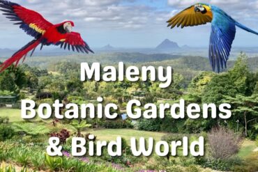 maleny botanic gardens and bird world