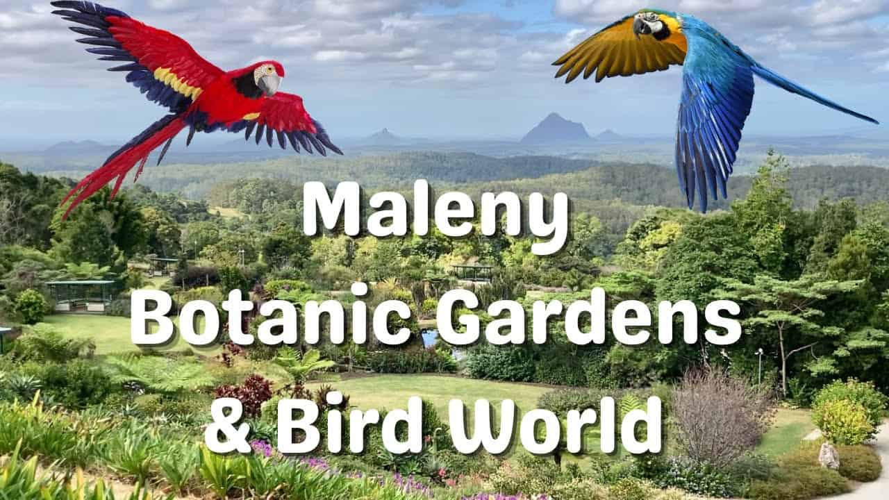 maleny botanic gardens and bird world