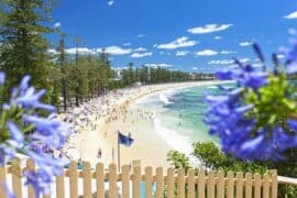 manly beach new south wales australia