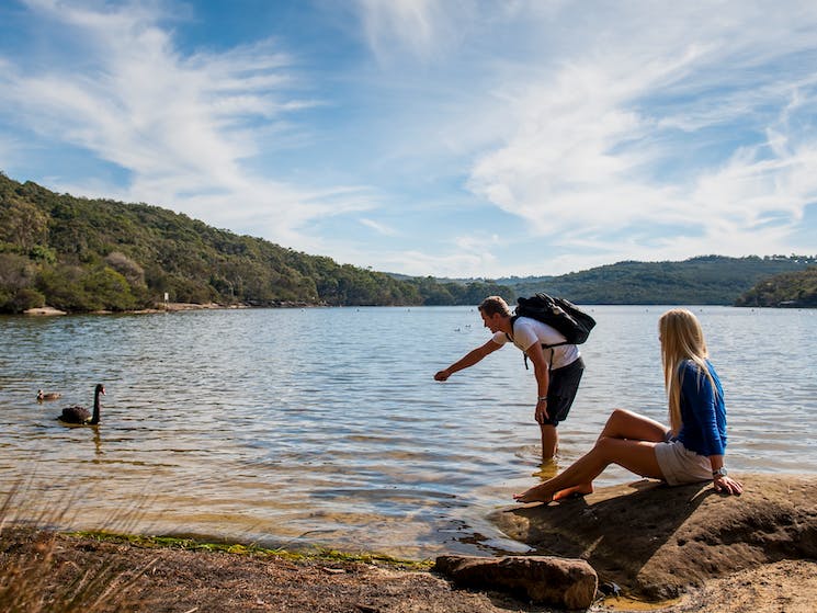 manly dam sydney