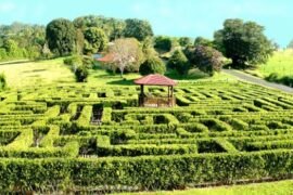 maze central coast sydney