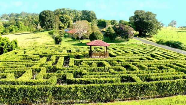 maze central coast sydney