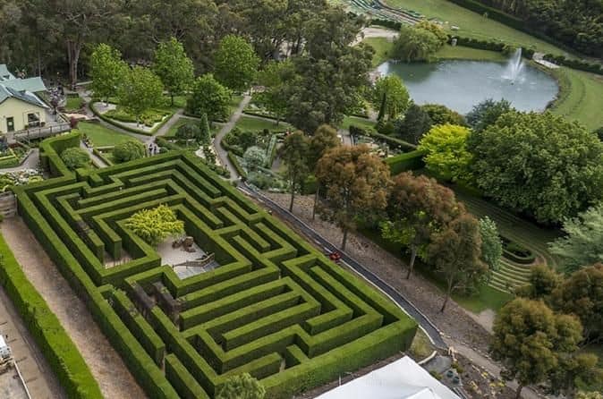 maze garden melbourne