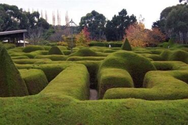 maze melbourne